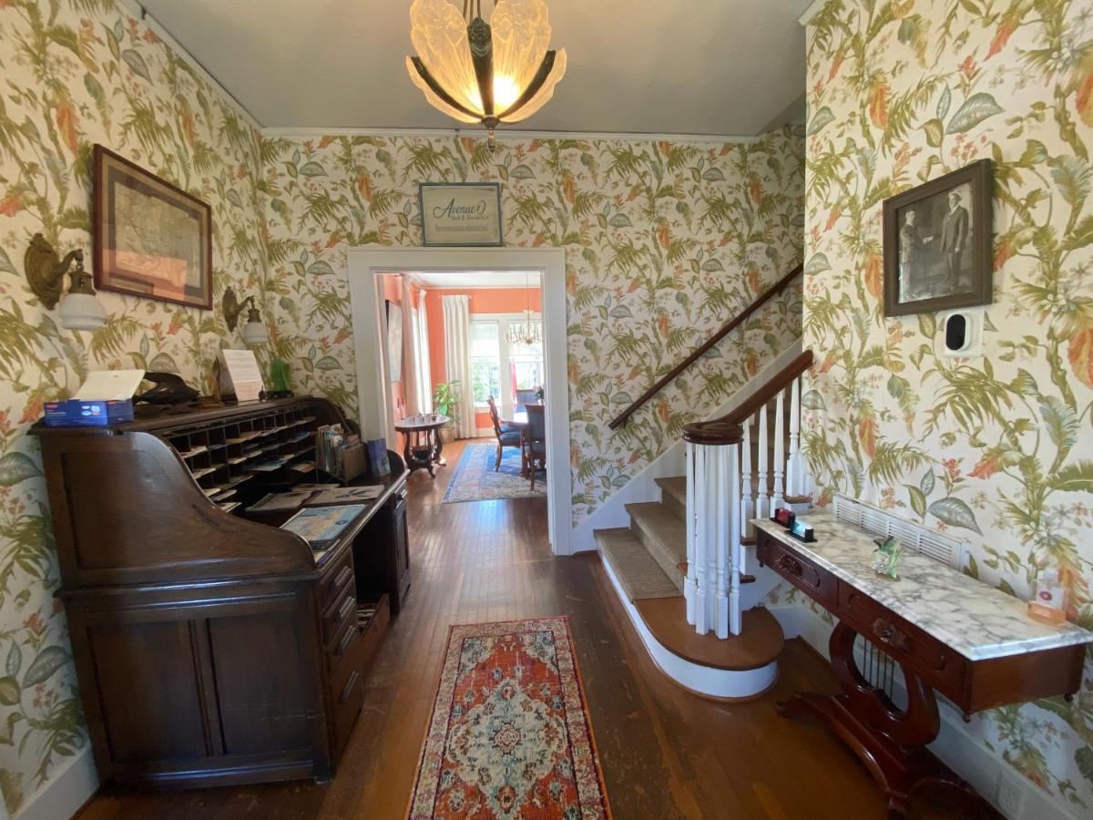 Avenue O Bed And Breakfast Galveston Eksteriør billede